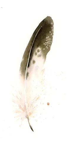Image of a feather watercolor painting by Shayna Larsen, originals & prints available