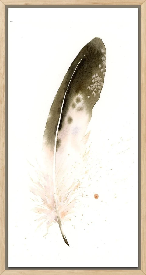 Image of a feather watercolor painting by Shayna Larsen, originals & prints available