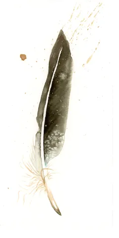 Image of a feather watercolor painting by Shayna Larsen, originals & prints available