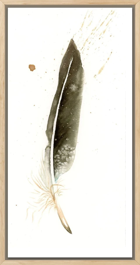 Image of a feather watercolor painting by Shayna Larsen, originals & prints available