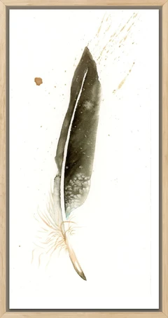 Image of a feather watercolor painting by Shayna Larsen, originals & prints available