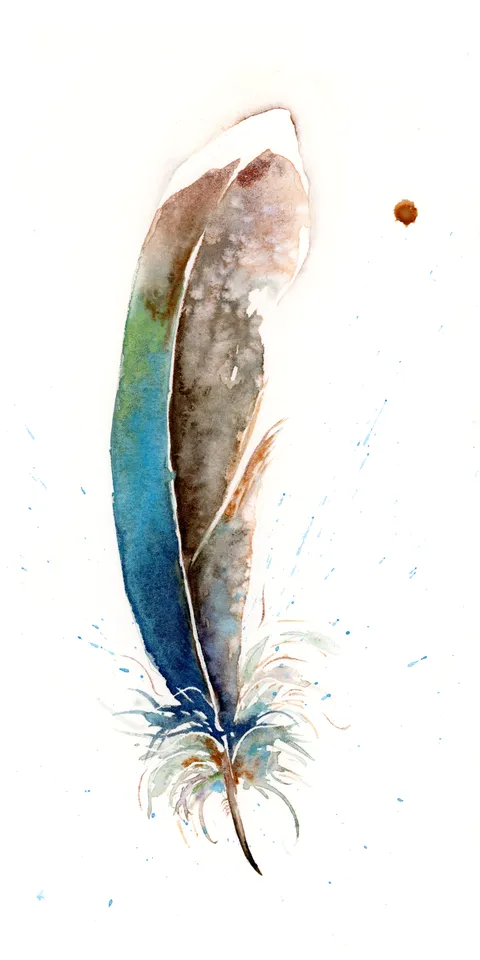 Image of a feather watercolor painting by Shayna Larsen, originals & prints available