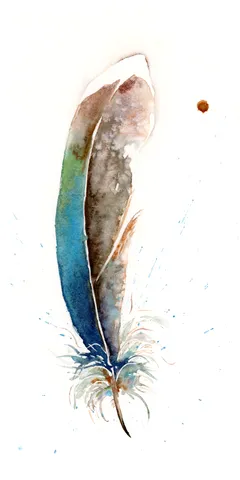 Image of a feather watercolor painting by Shayna Larsen, originals & prints available