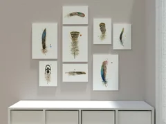 Image of a feather watercolor painting by Shayna Larsen, originals & prints available