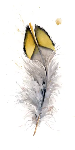 Image of a feather watercolor painting by Shayna Larsen, originals & prints available