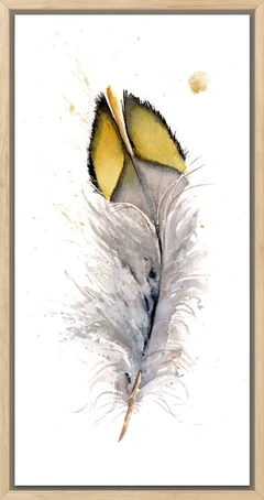 Image of a feather watercolor painting by Shayna Larsen, originals & prints available