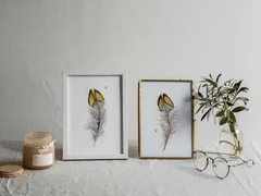 Image of a feather watercolor painting by Shayna Larsen, originals & prints available