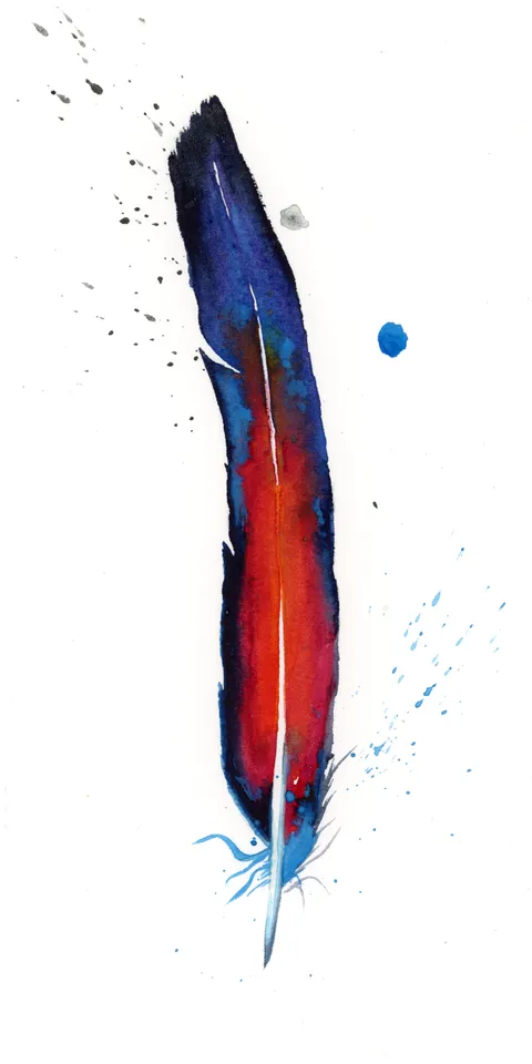 Image of a feather watercolor painting by Shayna Larsen, originals & prints available