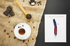 Image of a feather watercolor painting by Shayna Larsen, originals & prints available