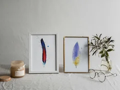 Image of a feather watercolor painting by Shayna Larsen, originals & prints available