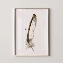 Image of a feather watercolor painting by Shayna Larsen, originals & prints available