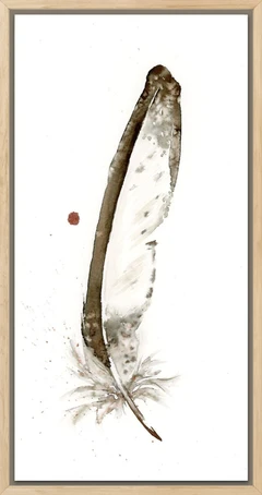 Image of a feather watercolor painting by Shayna Larsen, originals & prints available