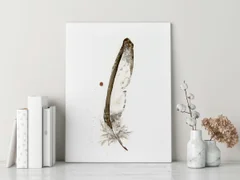 Image of a feather watercolor painting by Shayna Larsen, originals & prints available