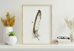 Image of a feather watercolor painting by Shayna Larsen, originals & prints available