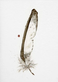 Image of a feather watercolor painting by Shayna Larsen, originals & prints available