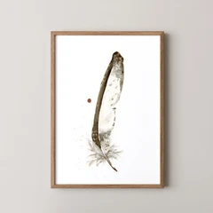 Image of a feather watercolor painting by Shayna Larsen, originals & prints available