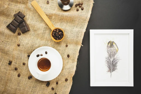 Image of a feather watercolor painting by Shayna Larsen, originals & prints available