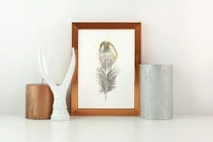 Image of a feather watercolor painting by Shayna Larsen, originals & prints available