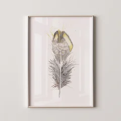 Image of a feather watercolor painting by Shayna Larsen, originals & prints available