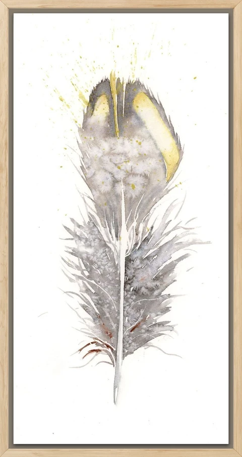 Image of a feather watercolor painting by Shayna Larsen, originals & prints available