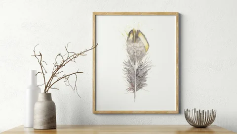 Image of a feather watercolor painting by Shayna Larsen, originals & prints available