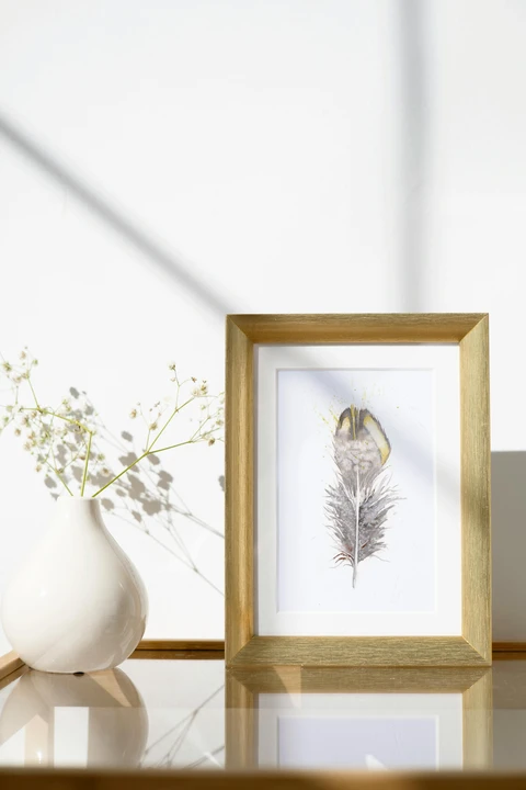Image of a feather watercolor painting by Shayna Larsen, originals & prints available