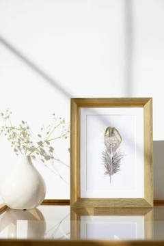 Image of a feather watercolor painting by Shayna Larsen, originals & prints available