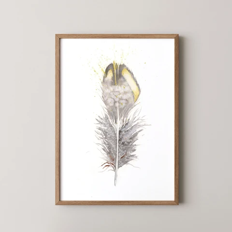 Image of a feather watercolor painting by Shayna Larsen, originals & prints available