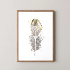 Image of a feather watercolor painting by Shayna Larsen, originals & prints available