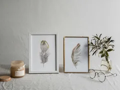 Image of a feather watercolor painting by Shayna Larsen, originals & prints available