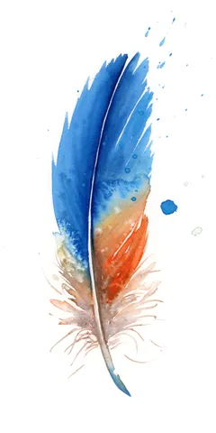 Image of a feather watercolor painting by Shayna Larsen, originals & prints available