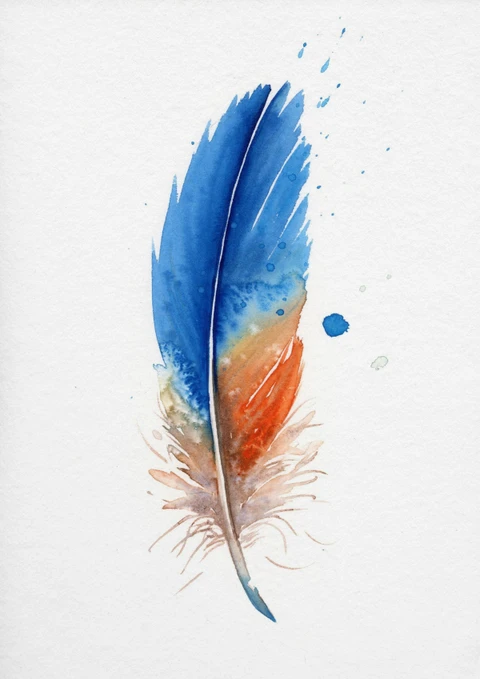 Image of a feather watercolor painting by Shayna Larsen, originals & prints available