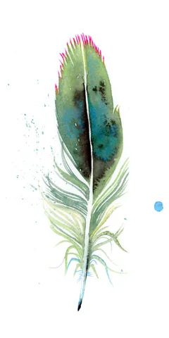 Image of a feather watercolor painting by Shayna Larsen, originals & prints available