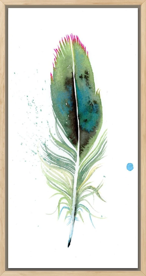 Image of a feather watercolor painting by Shayna Larsen, originals & prints available