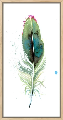 Image of a feather watercolor painting by Shayna Larsen, originals & prints available