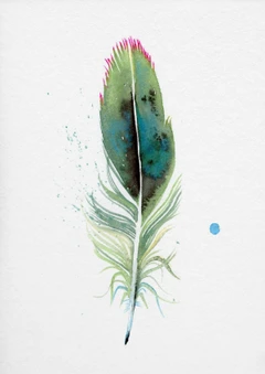 Image of a feather watercolor painting by Shayna Larsen, originals & prints available