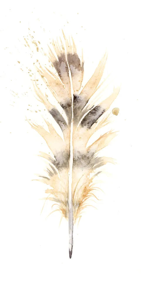 Image of a feather watercolor painting by Shayna Larsen, originals & prints available