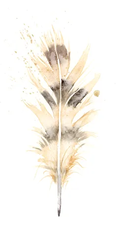 Image of a feather watercolor painting by Shayna Larsen, originals & prints available