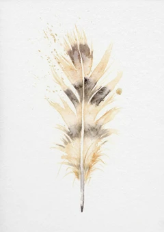 Image of a feather watercolor painting by Shayna Larsen, originals & prints available