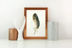 Image of a feather watercolor painting by Shayna Larsen, originals & prints available