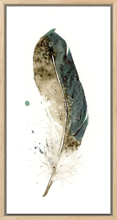 Image of a feather watercolor painting by Shayna Larsen, originals & prints available