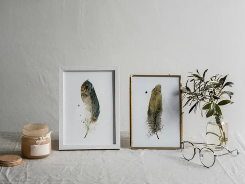 Image of a feather watercolor painting by Shayna Larsen, originals & prints available