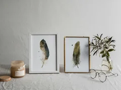 Image of a feather watercolor painting by Shayna Larsen, originals & prints available