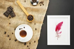 Image of a feather watercolor painting by Shayna Larsen, originals & prints available