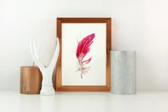 Image of a feather watercolor painting by Shayna Larsen, originals & prints available