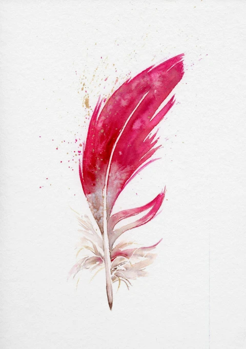 Image of a feather watercolor painting by Shayna Larsen, originals & prints available