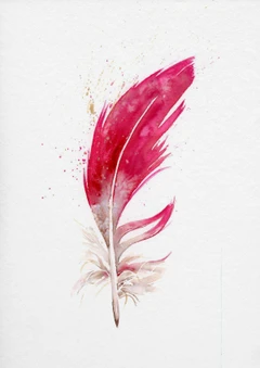 Image of a feather watercolor painting by Shayna Larsen, originals & prints available