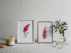 Image of a feather watercolor painting by Shayna Larsen, originals & prints available