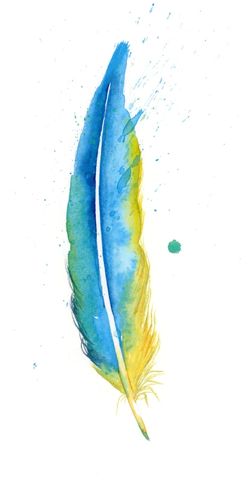 Image of a feather watercolor painting by Shayna Larsen, originals & prints available
