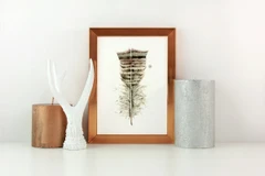 Image of a feather watercolor painting by Shayna Larsen, originals & prints available
